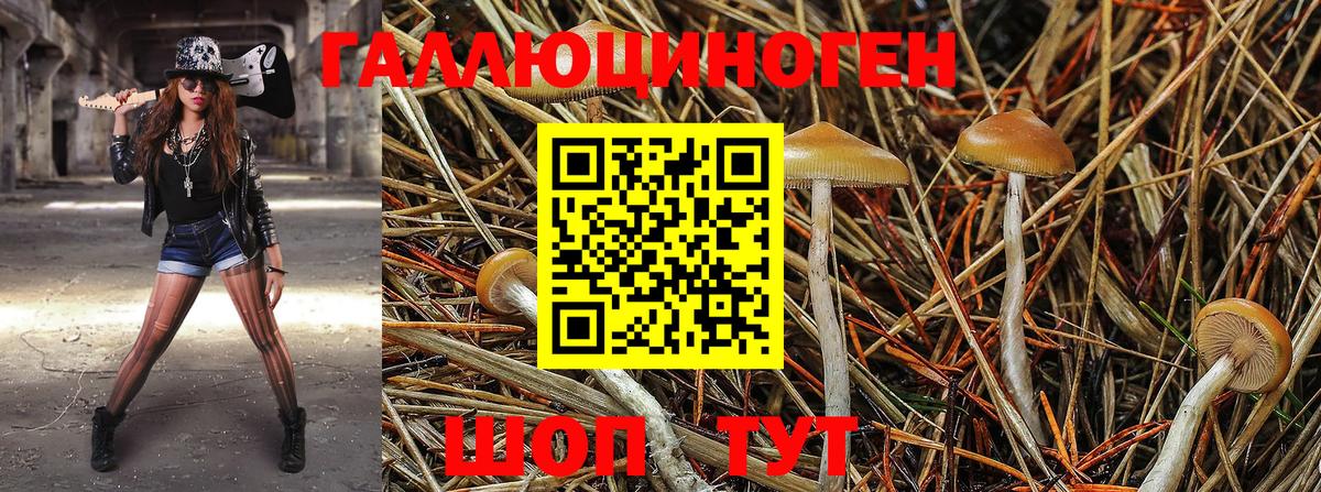 Псилоцибиновые грибы мухоморы Вязьма